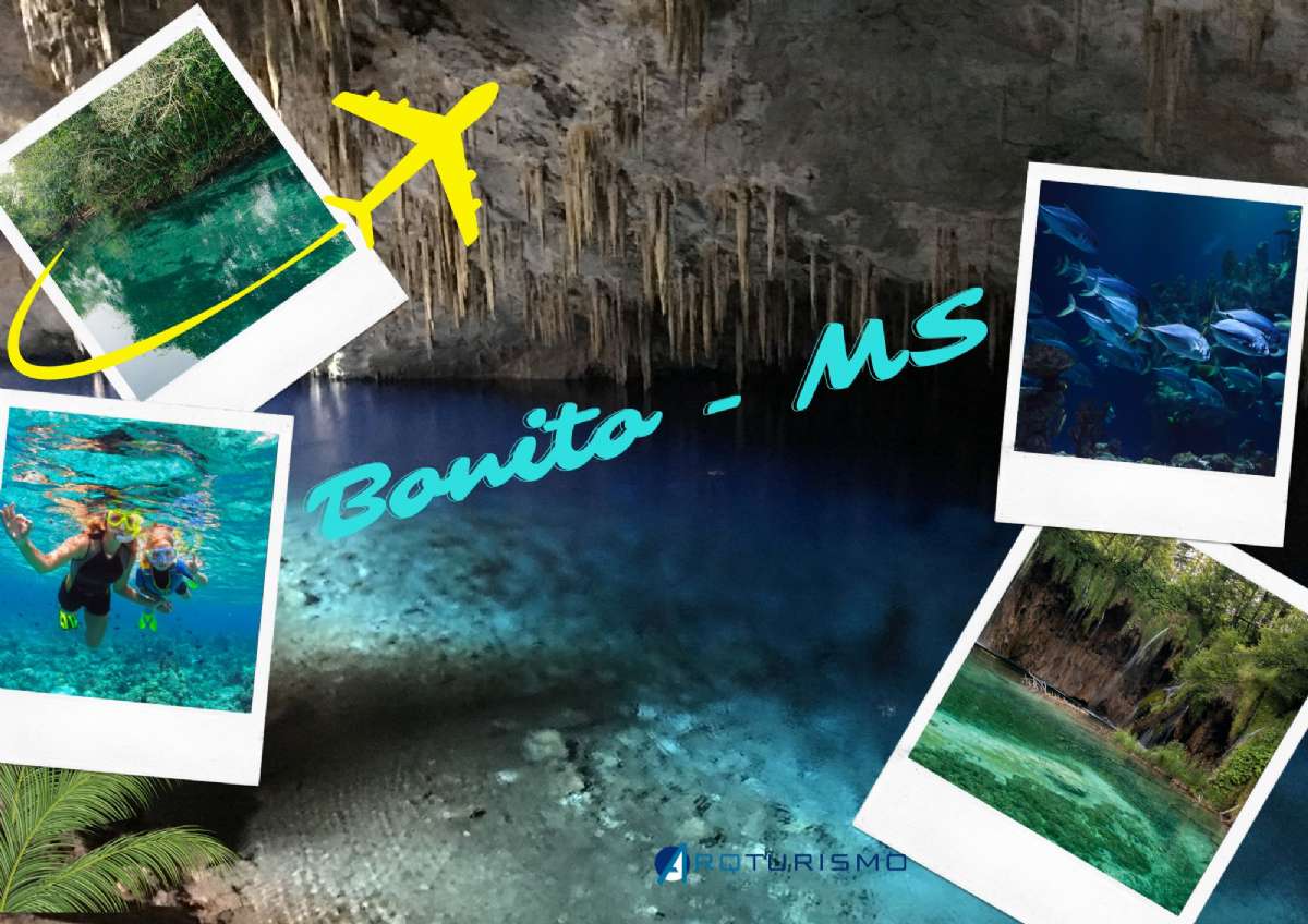 BONITO - MS